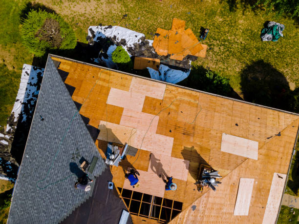 Best Storm Damage Roof Repair  in Cave Junction, OR